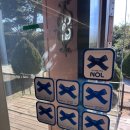 모노클 | [서귀포 카페 맛집] 모노클제주 글루텐프리 치즈케이크 솔직후기