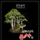 소소한일상 이미지