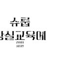 넷플릭스 슈룹을 통해 느낀 황실교육에 관하여