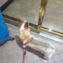 24시 잠실온 동물병원 이미지