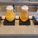 파르마 스테이 이미지