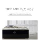 고양원단 이미지