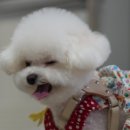 몽글스테이 이미지
