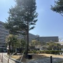 777오락실 | 경주 한화리조트 ‘에톤 디럭스 베드’ 숙박 후기