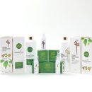 영화에코블루