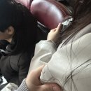 슈크레어 이미지
