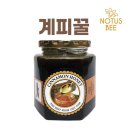 꿀 이미지