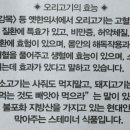 향나무촌 이미지