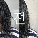 귀빈사 | [선물추천] 받으면 너무 기분 좋은 사사키 뉴트리키 샴푸트리트먼트 &amp; 귀빈사 마약mayac 아르간헤어오일