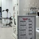 트러스트체크 | 김포 근처 인천 서구 애견미용 추천 말티즈 미용 잘하는 곳 , 트러스트 애견미용실 (내돈내산)