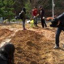 텃밭협동조합 이미지