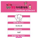 14. 제 24회 합천 벚꽃 마라톤대회 하프코스 후기