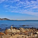 푸른바다 이미지