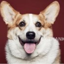 똘똘이농장 이미지