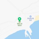 신진도드림 이미지