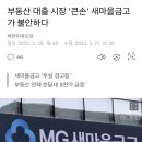 부동산 대출 시장 '큰손' 새마을금고가 불안하다 이미지