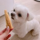 러블리하개 이미지