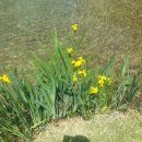 바우갈비 이미지