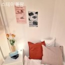 보성고시텔