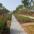 기후위기 대응을 위한 녹색생활 이미지