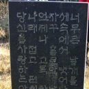 해숙농장 이미지