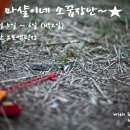 씨밀레민박 이미지