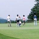 무안영산 이미지