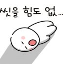 마이리틀프렌드위탁목욕