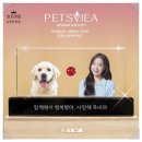 웰메디칼 | 창원일자리 뜨고 있는 미래업종 보람상조와 함께하는 새로운 기회