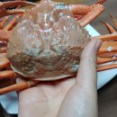 농라카페 후포리홍대오빠 연지홍게 택배 구매 후기(홍게 싸게 먹기)
