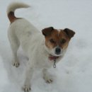 물안개농박 이미지