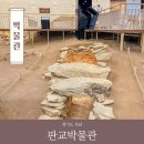 선진크레인 | 경기도 성남 판교박물관 전시 볼거리 관람 정보