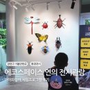 (주)스페이스온라인 | 아이와함께 다녀온 에코스페이스 연의 전시관람 체험 프로그램 후기