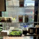 에프비커피 로스터스(FB COFFEE ROASTERS)