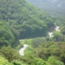 소나무풍경 이미지