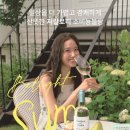 와인비 이미지