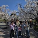 전주 아이와 가볼 만한 곳 - 전주동물원 드림랜드 즐기기