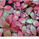 자연생태공원 부천식물원 이미지