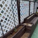 학당농장 이미지