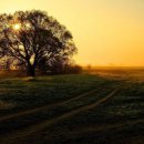 한국결혼문화원 이미지