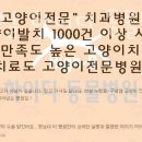 123덴탈 | 마포구 합정동 동물병원 캣&amp;덴탈 하이디 동물병원 진료시간 접근성 이용후기