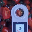 내외로L 이미지