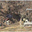 라파엘메디케어 이미지