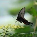 남종우농장 이미지