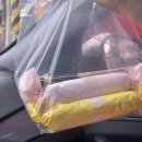 주정차062 | 광주 첨단김밥 김천 김밥축제 참여 가게 김밥대장의 올해의 김밥 맛집