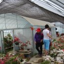 동원농장 이미지