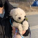 카페짙은 이미지