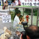 동물농장 이미지