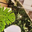 2313 | 안성 가볼만한곳 안성 스타필드 맛집 마유유 마라탕