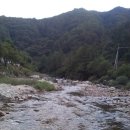 김삿갓면-38 이미지